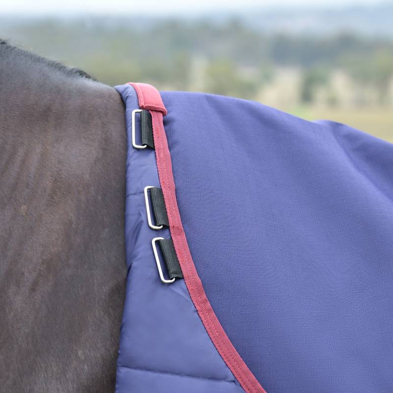 Close-up of a horse in a navy/burgundy Weatherbeeta Comfitec Essential turnout rug.