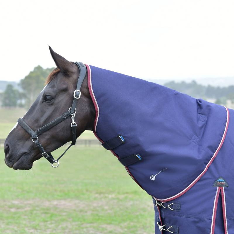 A horse in a Weatherbeeta Comfitec Essential 220g navy/burgundy neck cover stands on grass.