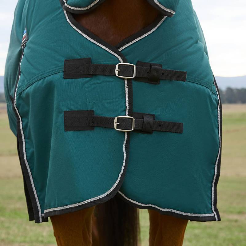 Close-up of a horse in a Weatherbeeta Comfitec Classic Combo Neck Turnout Rug in green/black.