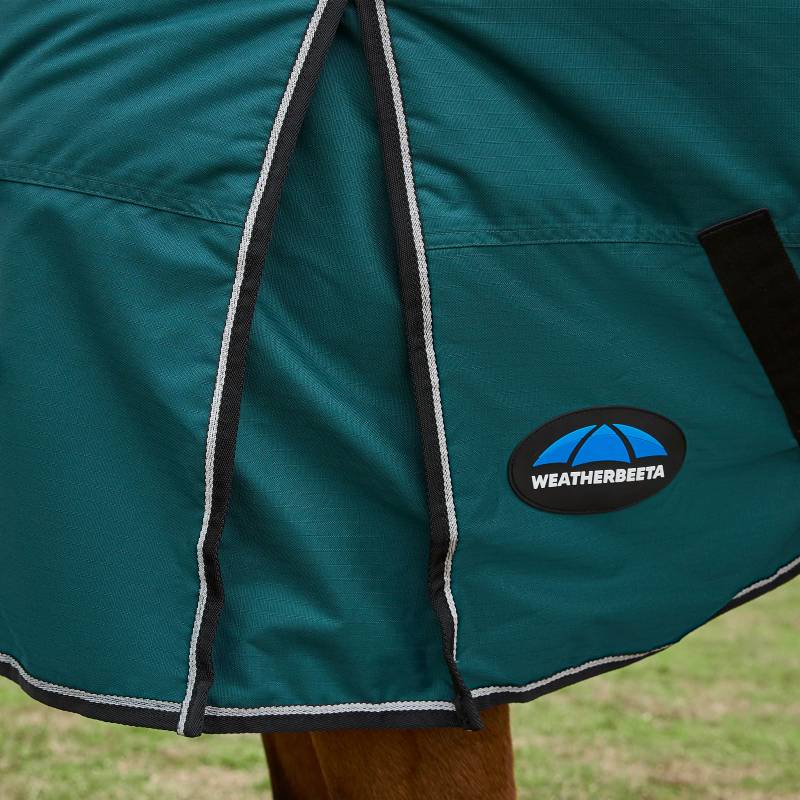 Close-up of a horse wearing a Weatherbeeta Comfitec Classic 220g green turnout rug outdoors.