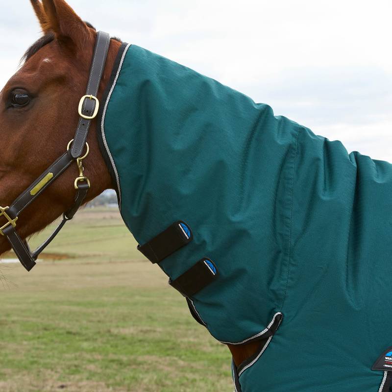 Brown horse in a Weatherbeeta Comfitec Classic 220g Turnout Rug, standing on grass.