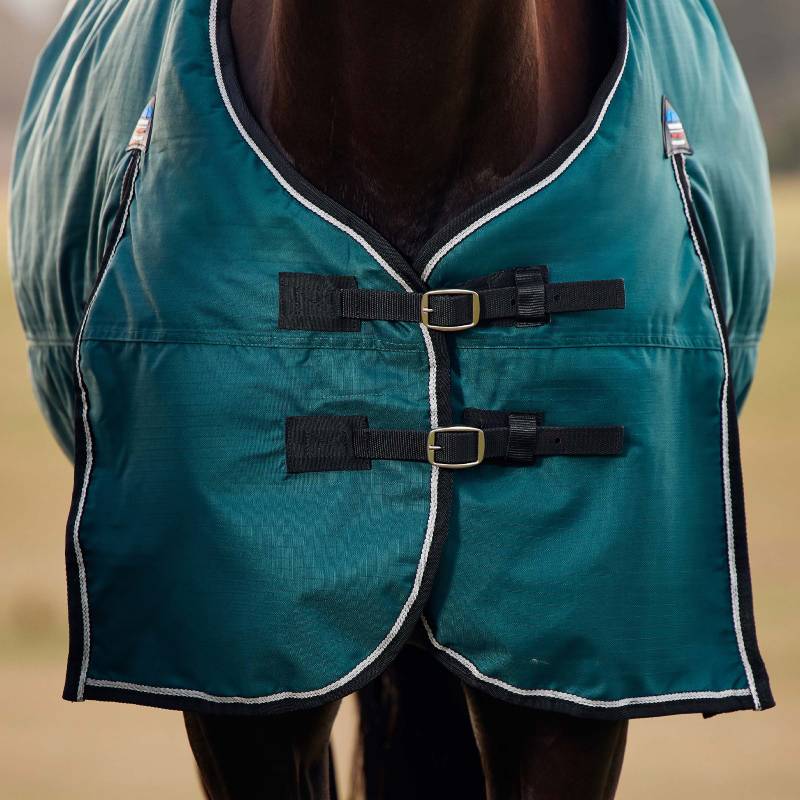 Close-up of a horse in a Weatherbeeta Comfitec Classic 220g green/black turnout rug.
