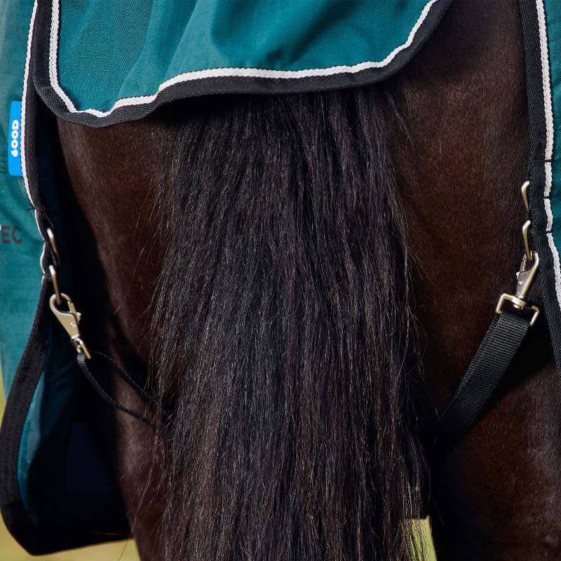 Close-up of a horse's tail in a Weatherbeeta Comfitec Classic Medium Weight Turnout Rug.
