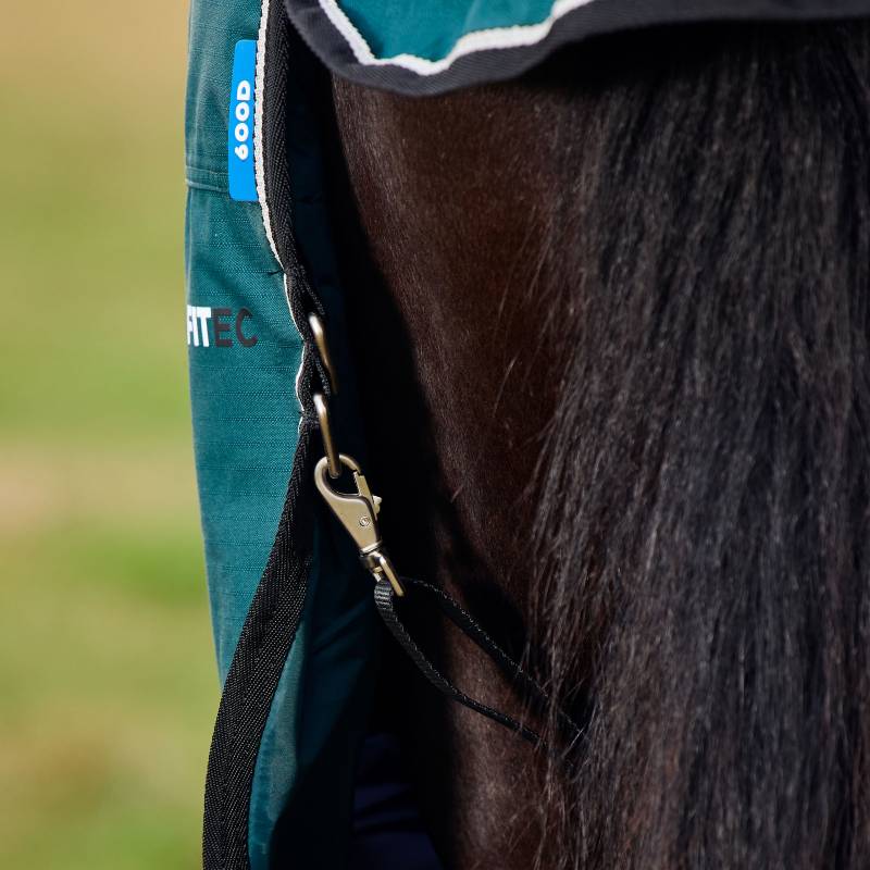 Close-up of a horse in teal gear and a Weatherbeeta Comfitec Classic Medium Turnout Rug, blurred grass.