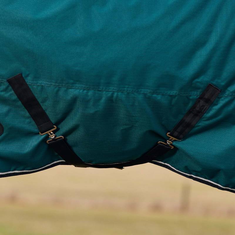 Weatherbeeta Comfitec Classic Medium Turnout Rug in forest green/black, 220g, shown outdoors.
