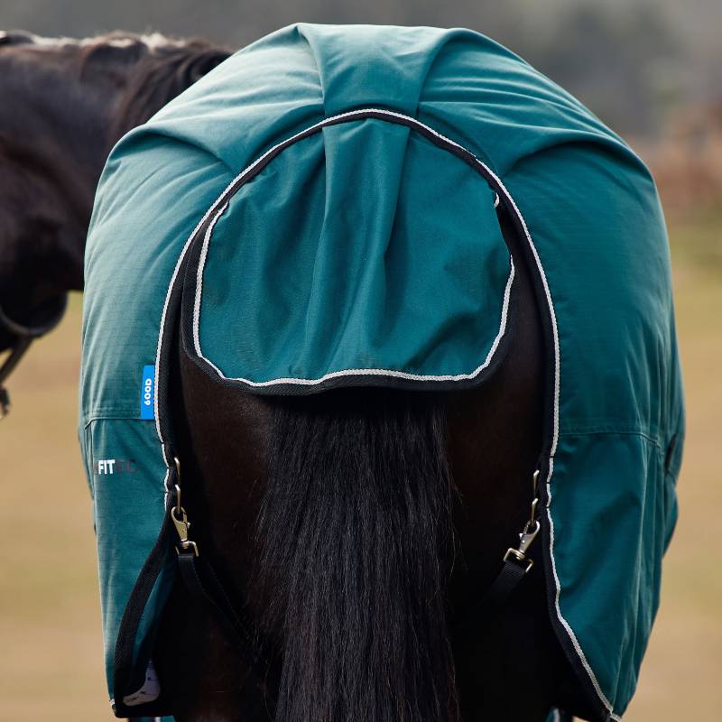 Close-up of a horse outdoors in a Weatherbeeta Comfitec Classic Turnout Rug Forest Green/Black.
