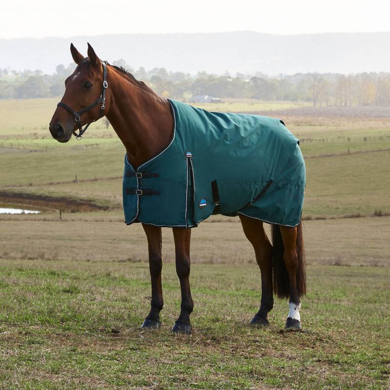 A horse in a Weatherbeeta Comfitec 220g rug stands in a grassy field with hills behind.