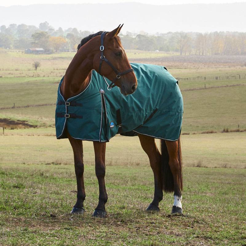 A horse in a Weatherbeeta Comfitec 220g rug stands in a grassy field with hills behind.