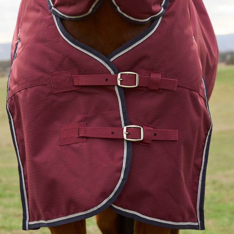 Close-up of a horse in a Weatherbeeta Comfitec Prelim Combo Neck Turnout Rug 220g Burgundy/Navy.