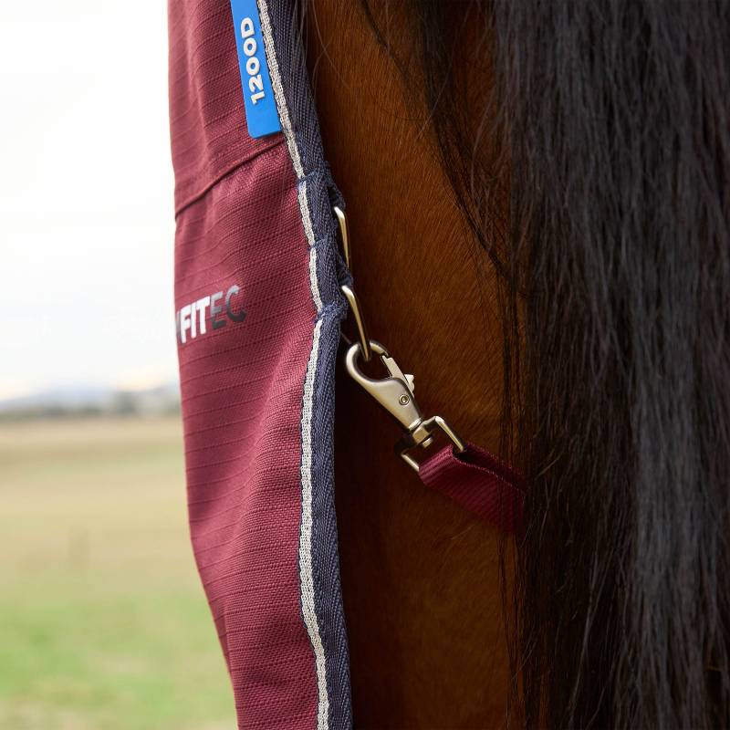 Weatherbeeta Comfitec Prelim Combo Turnout Rug 220g Burgundy/Navy on horse, mane shown.