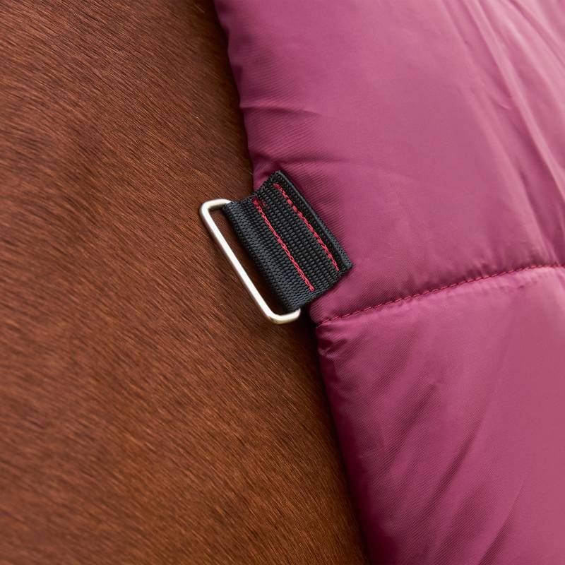 Burgundy/navy Weatherbeeta ComFiTec Prelim Neck Turnout Rug 220g on a brown horse.