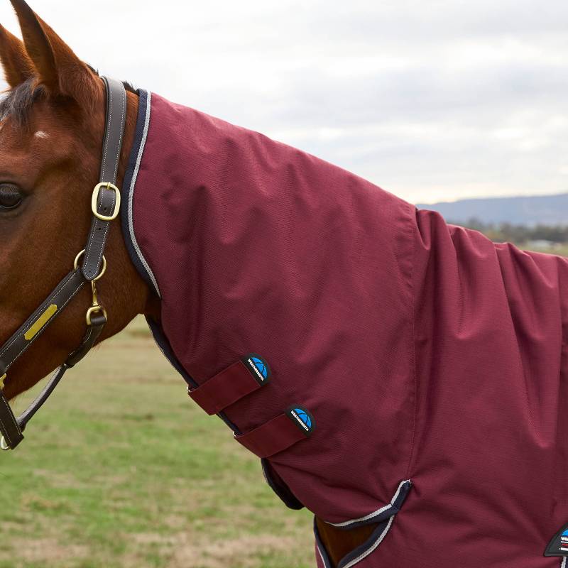 A horse in a Weatherbeeta Comfitec Prelim Combo Neck Turnout Rug grazes in a grassy field.