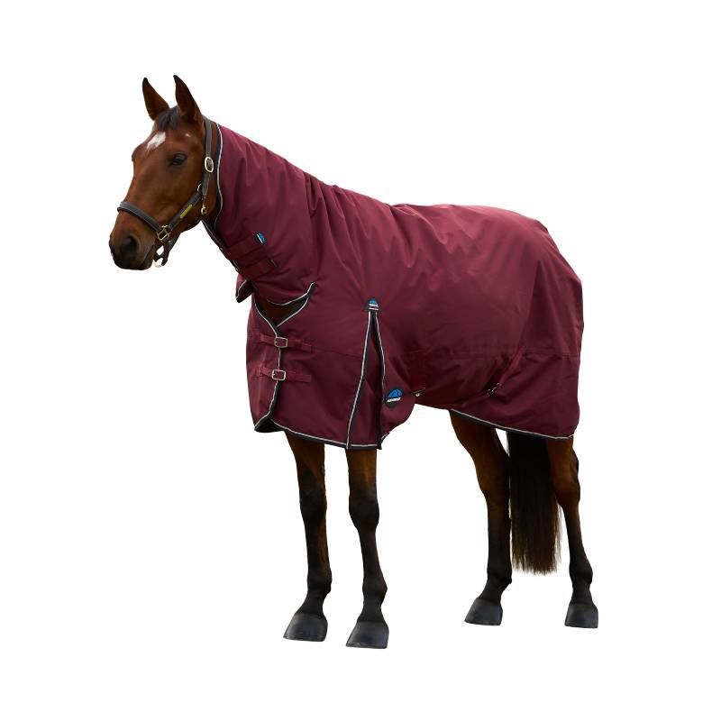 A horse in a Weatherbeeta burgundy/navy turnout rug with combo neck and multiple buckles.