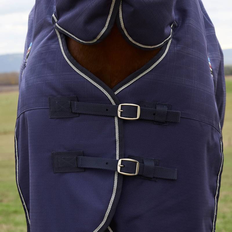 Close-up of a horse in a navy Weatherbeeta Comfitec Prelim Combo Neck Turnout Rug 220g.