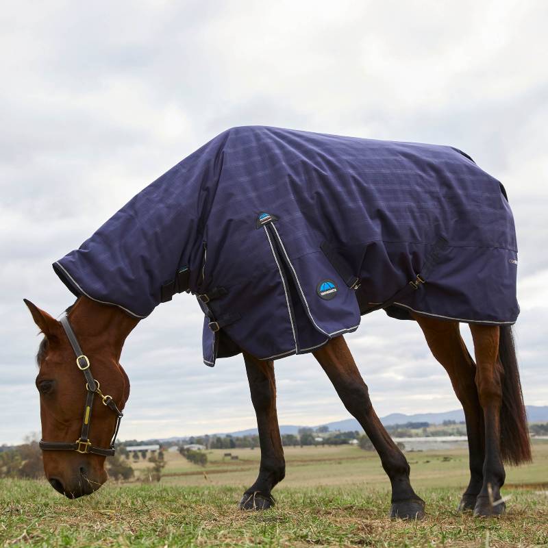A horse in a Weatherbeeta Comfitec Prelim Combo Neck Rug grazes under a cloudy sky.