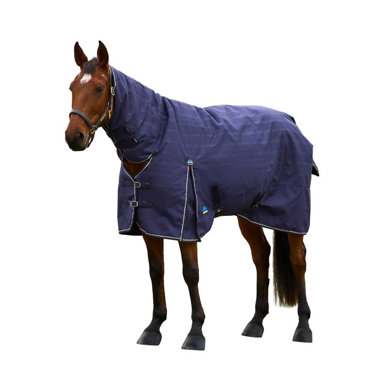 A horse in a navy Weatherbeeta Comfitec Prelim Combo Neck Turnout Rug 220g on white background.
