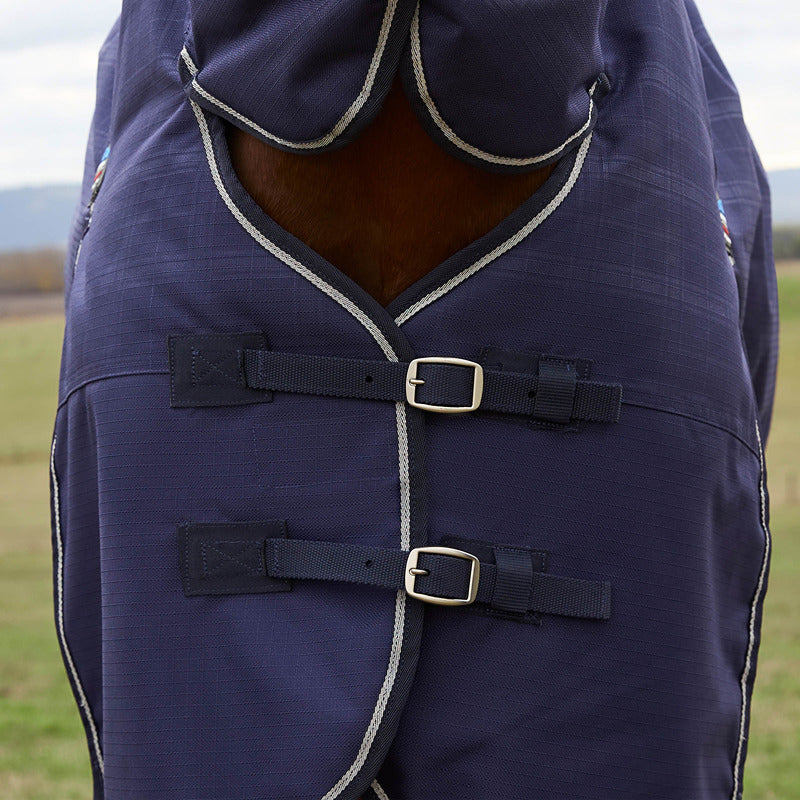 Close-up of a horse in a Weatherbeeta Comfitec Prelim Combo Neck Lightweight Turnout Rug.