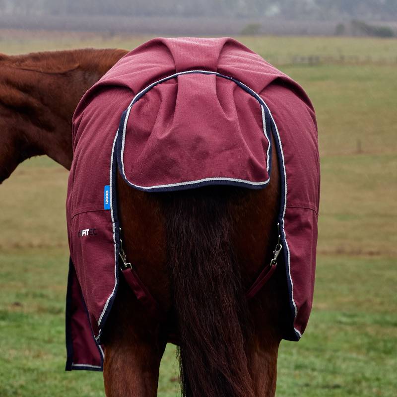A horse outdoors in a Weatherbeeta Comfitec burgundy/navy turnout rug 220g.
