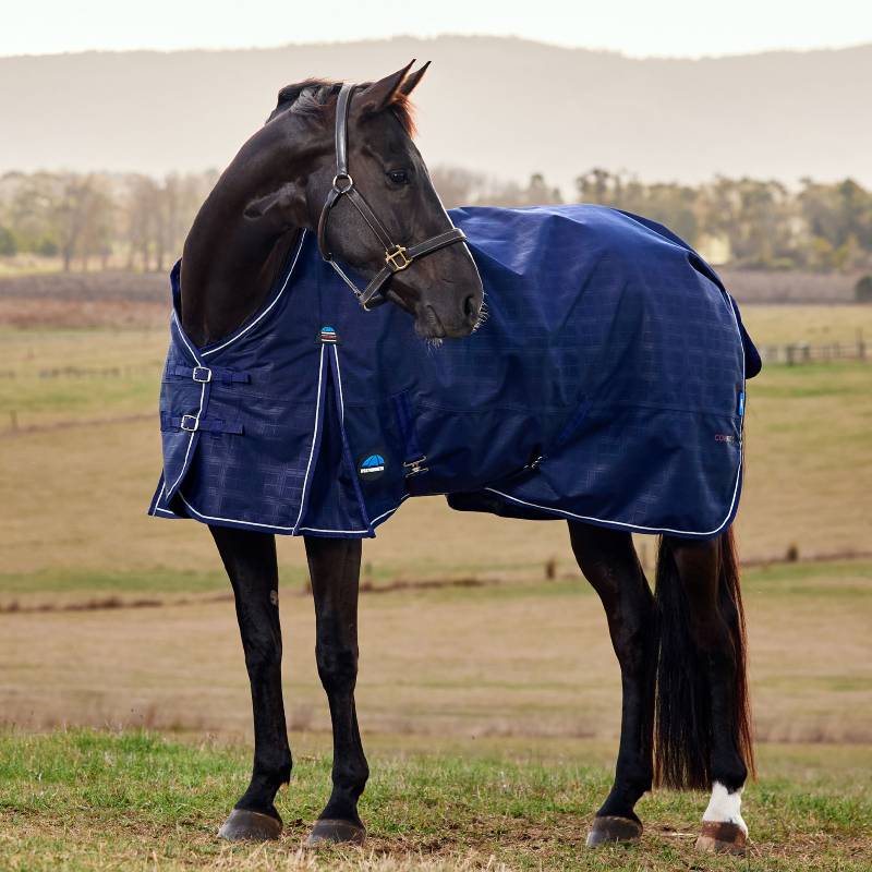 A black horse in a navy Weatherbeeta Comfitec 220g Turnout Rug stands in a grassy field.