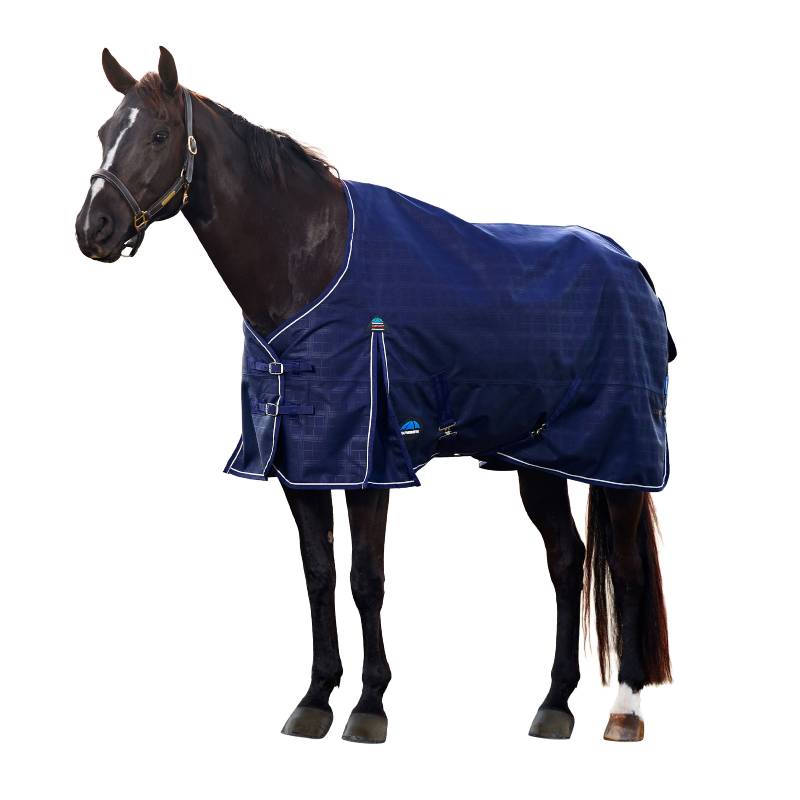 A black horse in a navy Weatherbeeta turnout rug faces left.