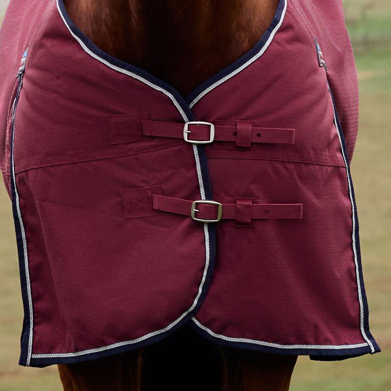 Close-up of a horse in a Weatherbeeta Comfitec Prelim Light Weight Rug in Burgundy/Navy.