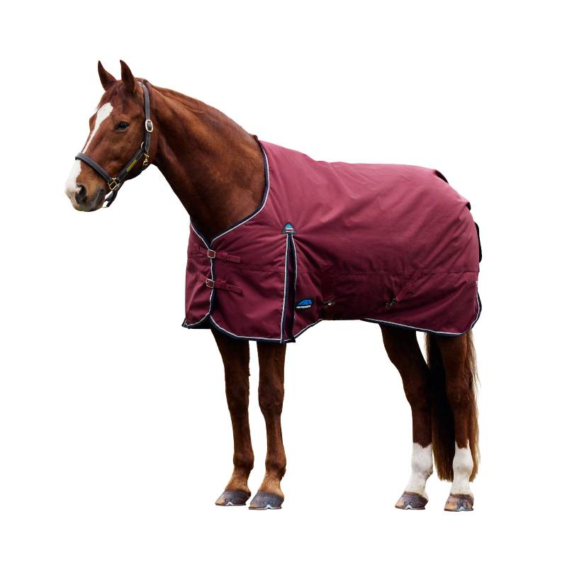A brown horse wears a burgundy/navy Weatherbeeta Comfitec Prelim Turnout Rug.