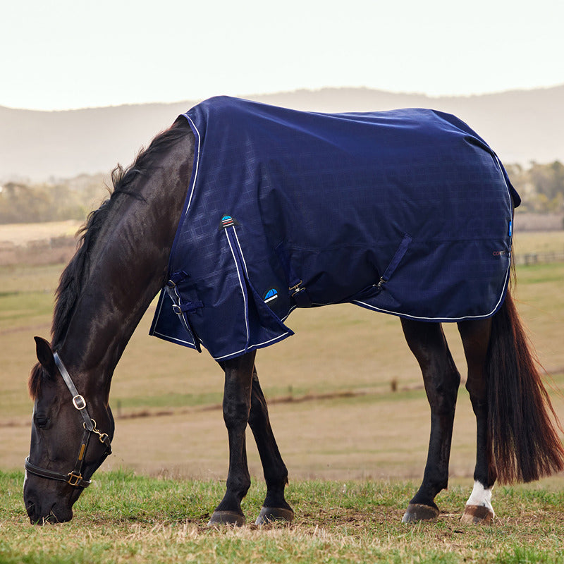 A dark brown horse grazes, wearing a navy Weatherbeeta Comfitec Prelim turnout rug.