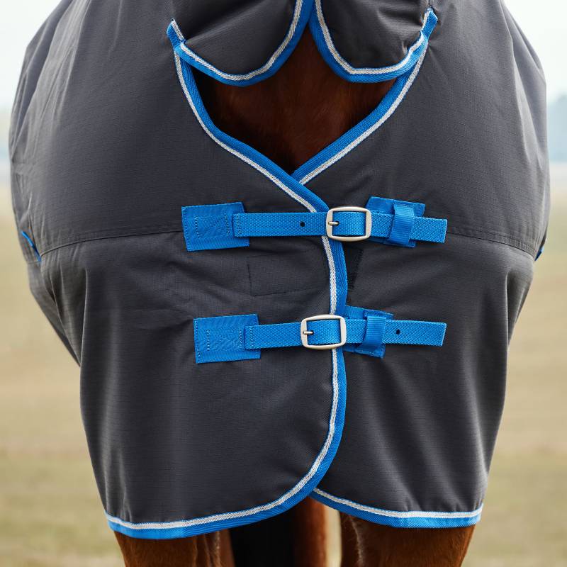 Close-up of a horse in a Weatherbeeta Comfitec Tyro Combo Neck Turnout Rug 220g Black/Cobalt.