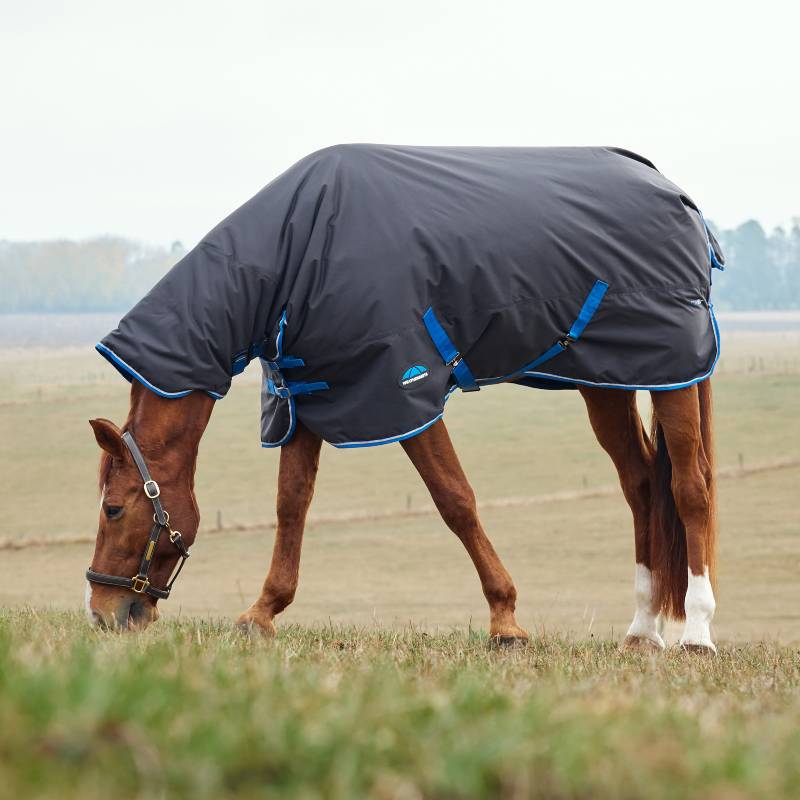 Horse wearing a Weatherbeeta Comfitec Tyro Combo Neck Turnout Rug 220g in a grassy field.