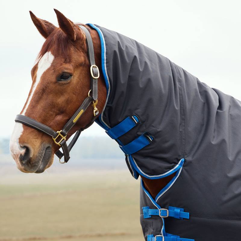 Chestnut horse in Weatherbeeta Comfitec Tyro Combo Neck Turnout Rug 220g Black/Cobalt, outdoors.