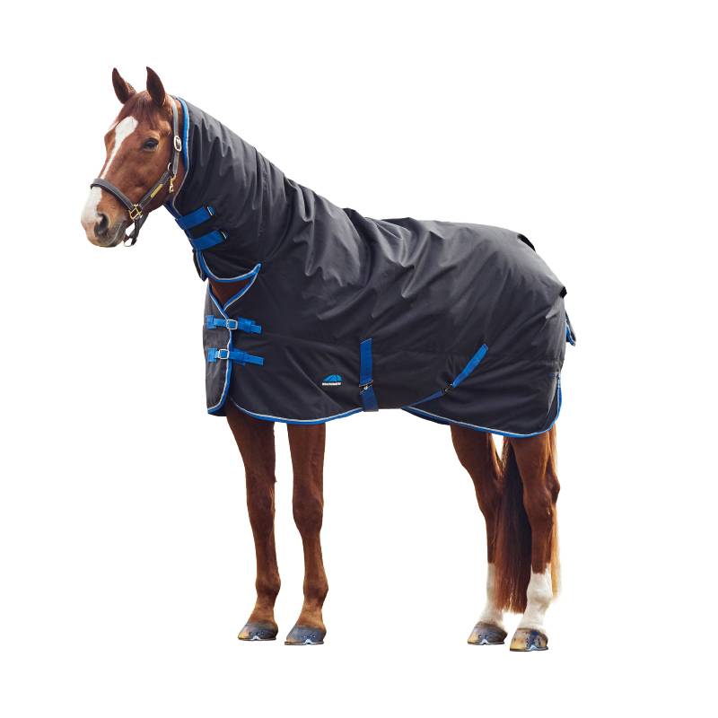 A brown horse wears a Weatherbeeta Comfitec Tyro Combo Neck Turnout Rug 220g Black/Cobalt.