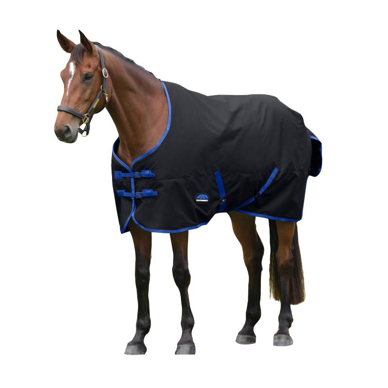 Brown horse in Weatherbeeta Comfitec Tyro 220g Black/Cobalt rug stands by a wooden fence.