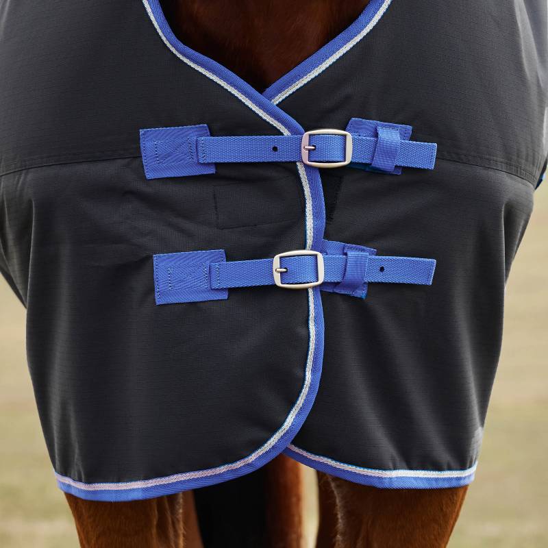 Close-up of a horse in a Weatherbeeta Comfitec Tyro Turnout Rug Standard Neck 220g Black/Cobalt.