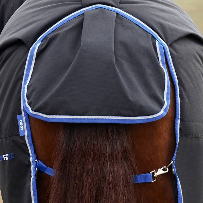 A close-up of a horse in a Weatherbeeta Comfitec Tyro 220g rug, showing mane and straps.