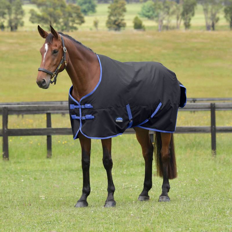 Brown horse in Weatherbeeta Comfitec Tyro 220g Black/Cobalt rug stands by a wooden fence.
