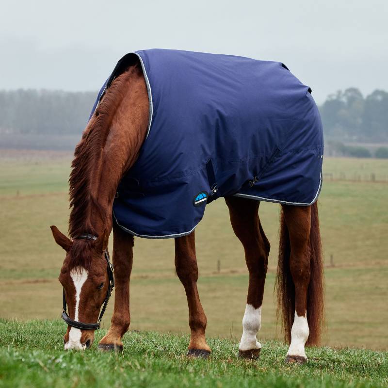 Brown horse in a navy Weatherbeeta ComFiTec Tyro Turnout Rug stands in a grassy rural field.