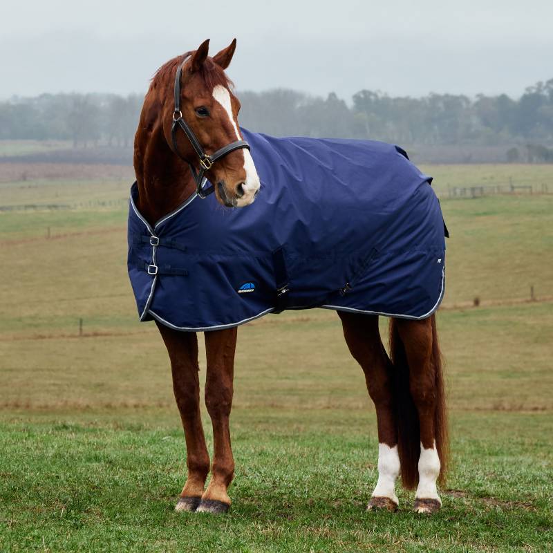 A brown horse in a Weatherbeeta Comfitec Tyro Turnout Rug stands on grass in a field.