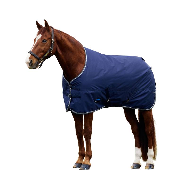 Chestnut horse in a Weatherbeeta ComFiTec Tyro Rug Standard Neck 50g Navy/Charcoal and bridle.