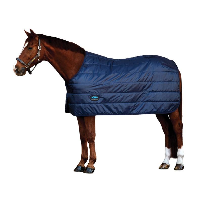 A brown horse in a navy Weatherbeeta Comfitec Medium Liner 200g stands on white.