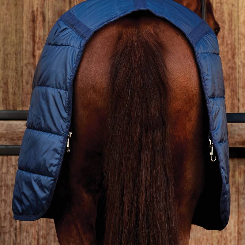 A horse’s hindquarters draped in a Weatherbeeta Comfitec Thermi-Heat 100g navy turnout rug.