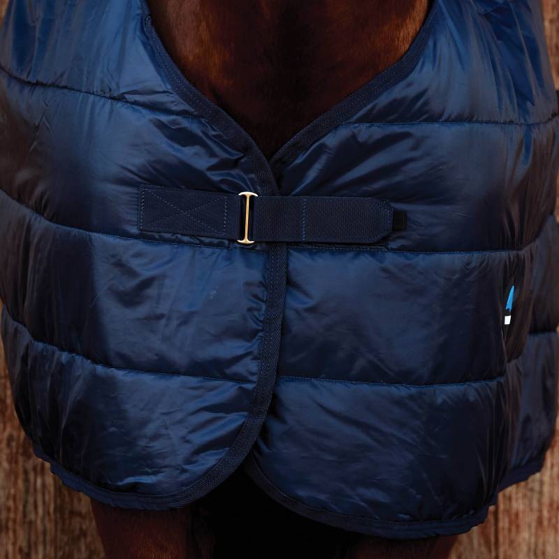 A close-up of a horse wearing a navy Weatherbeeta Comfitec Thermi-Heat Liner turnout rug.