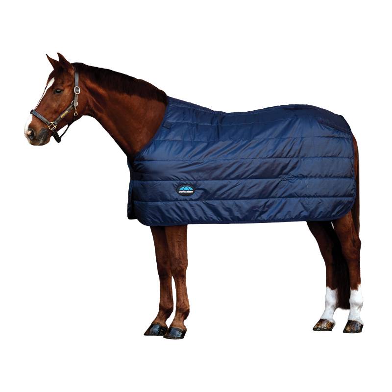 Brown horse in a navy Weatherbeeta Comfitec Thermi-Heat Liner 100g, on a white background.