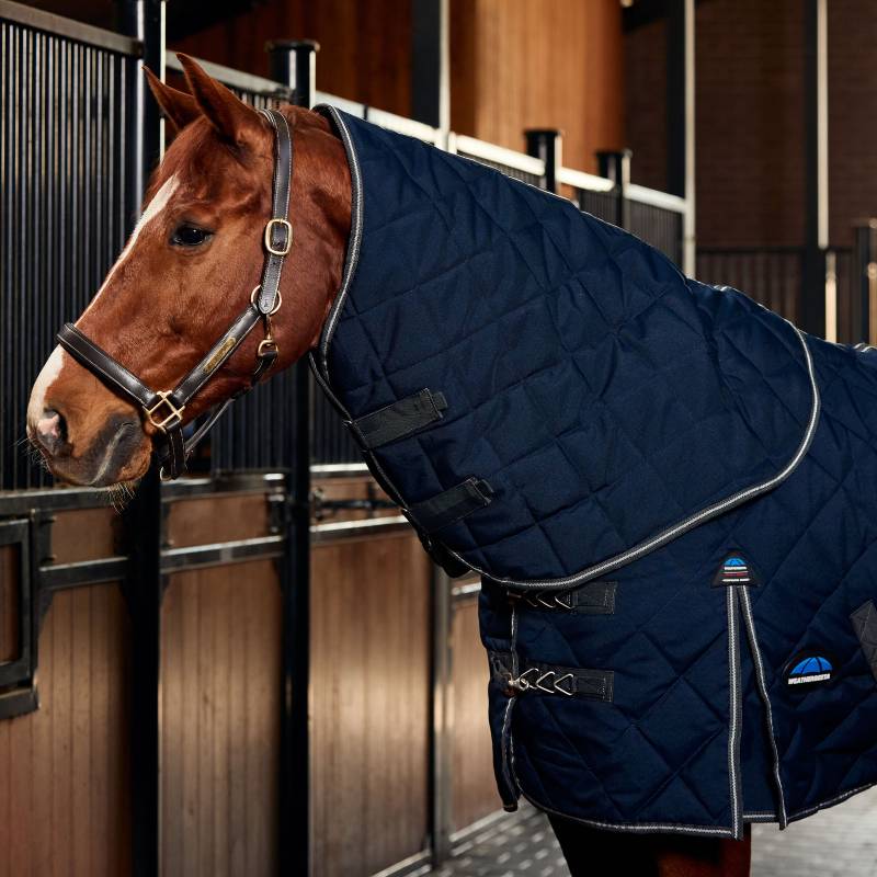 A brown horse in a navy Weatherbeeta Comfitec 1000D stable rug stands in a stable.