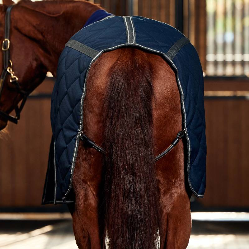 A brown horse wears a Weatherbeeta Comfitec 1000D navy stable rug, seen from behind in a stable.