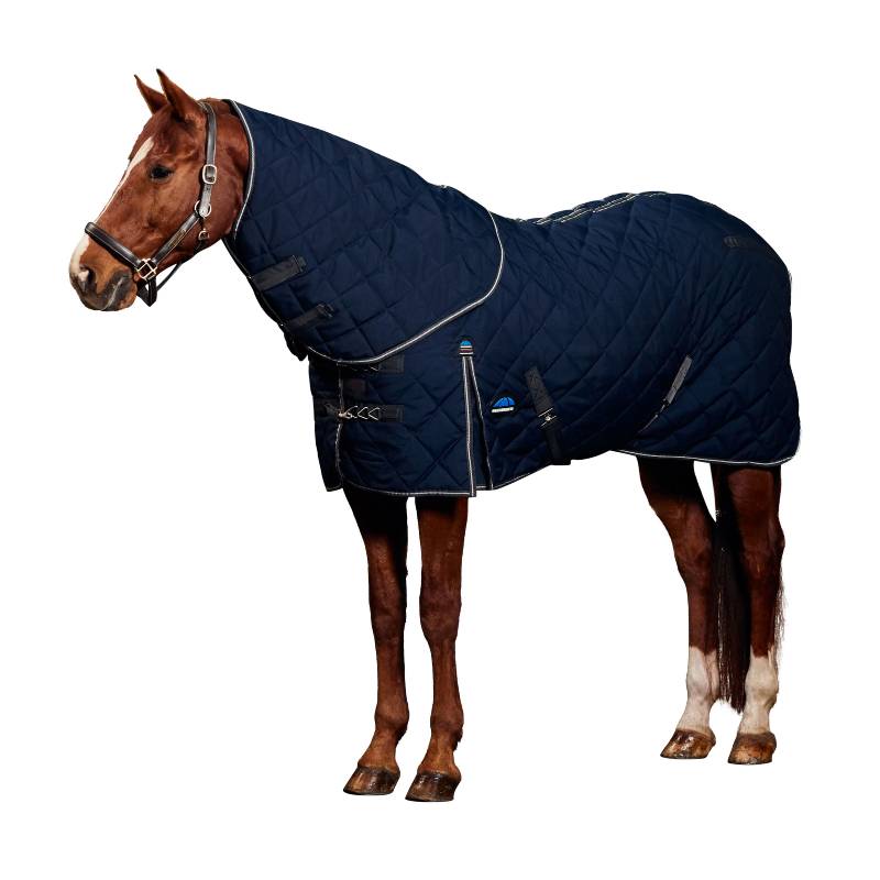 Brown horse in a Weatherbeeta Comfitec 1000D Detach-A-Neck stable rug, navy/charcoal.