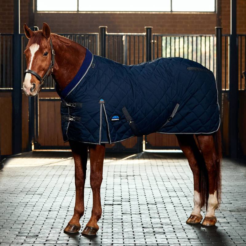 Chestnut horse wears Weatherbeeta Comfitec 1000D Stable Rug in a sunlit, clean stable aisle.