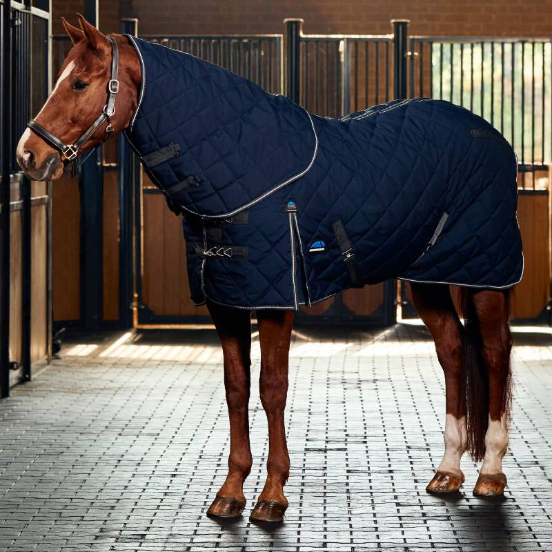 A horse wears a Weatherbeeta Comfitec 1000D Navy/Charcoal stable rug in a stall.