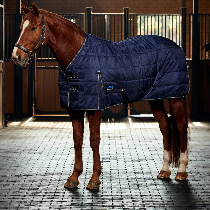 A chestnut horse wears a Weatherbeeta Comfitec PP Channel Quilt Stable Rug 220g in a stable.