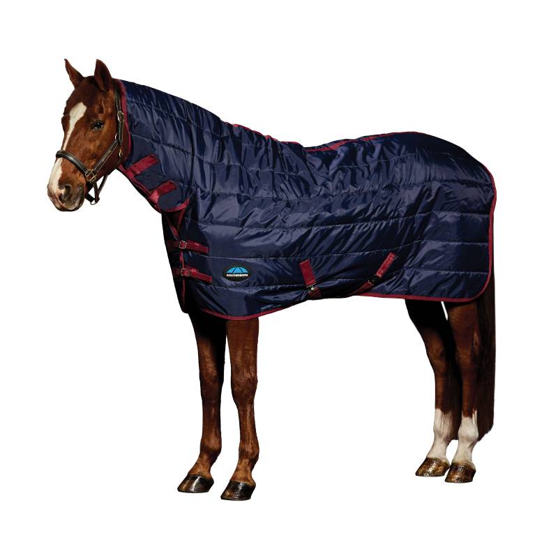 A horse wears a navy/burgundy Weatherbeeta Comfitec 210D Channel Quilt Stable Rug Combo Neck.