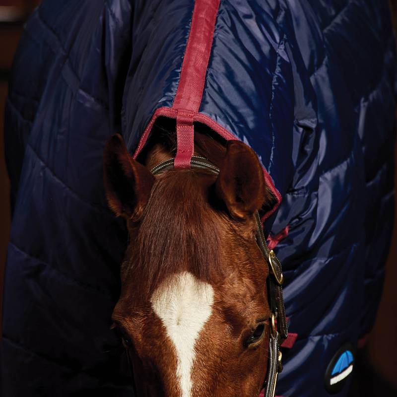 A horse in a Weatherbeeta Comfitec 210D combo neck rug, head down, with a white blaze.